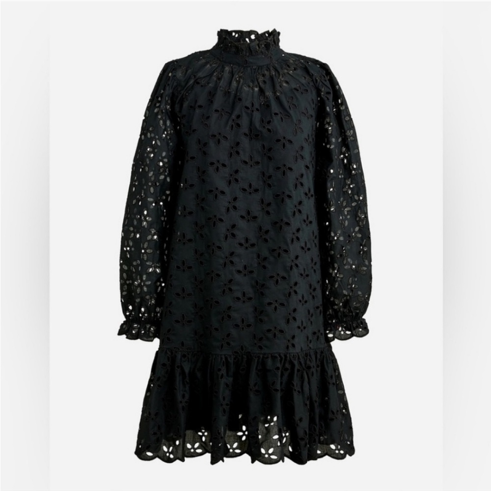 J. Crew Ruffleneck Eyelet Long Sleeve Mini Dress